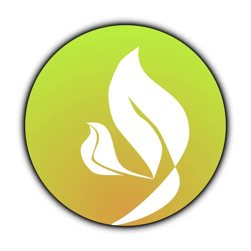 Sorein Play